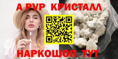 спайс Тара