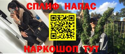 спайс Тара