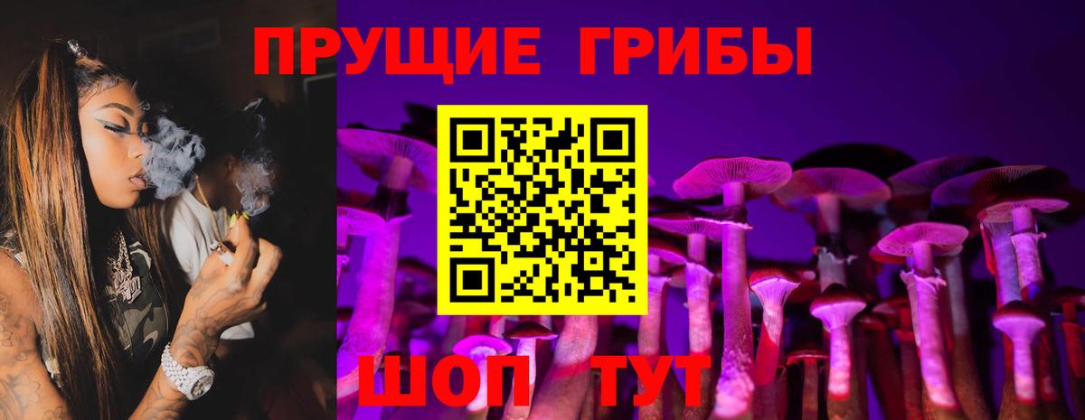 Псилоцибиновые грибы Cubensis  Вход с VPN  Нурлат 